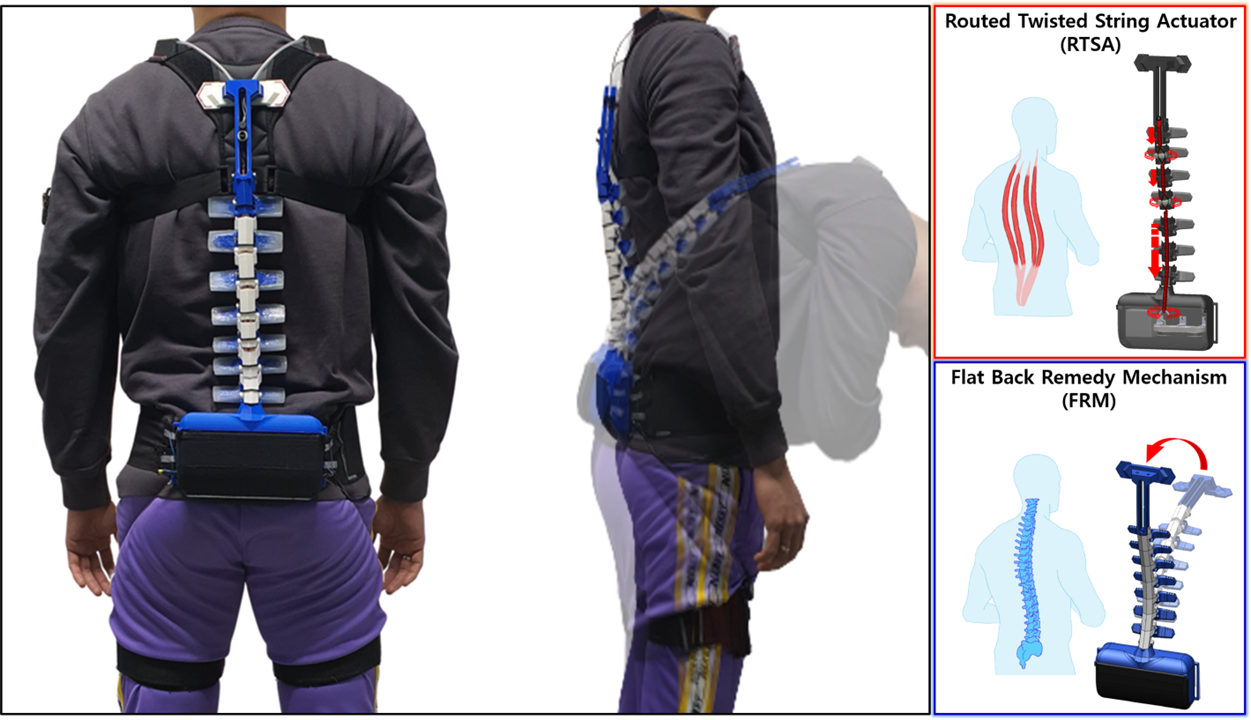 Spine Assistive Robot